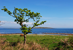 Isle of Jura Small Isles Bay